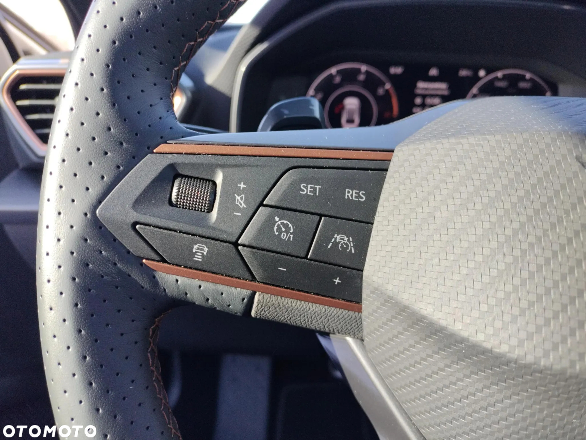 Cupra Leon 2.0 TDI DSG - 25