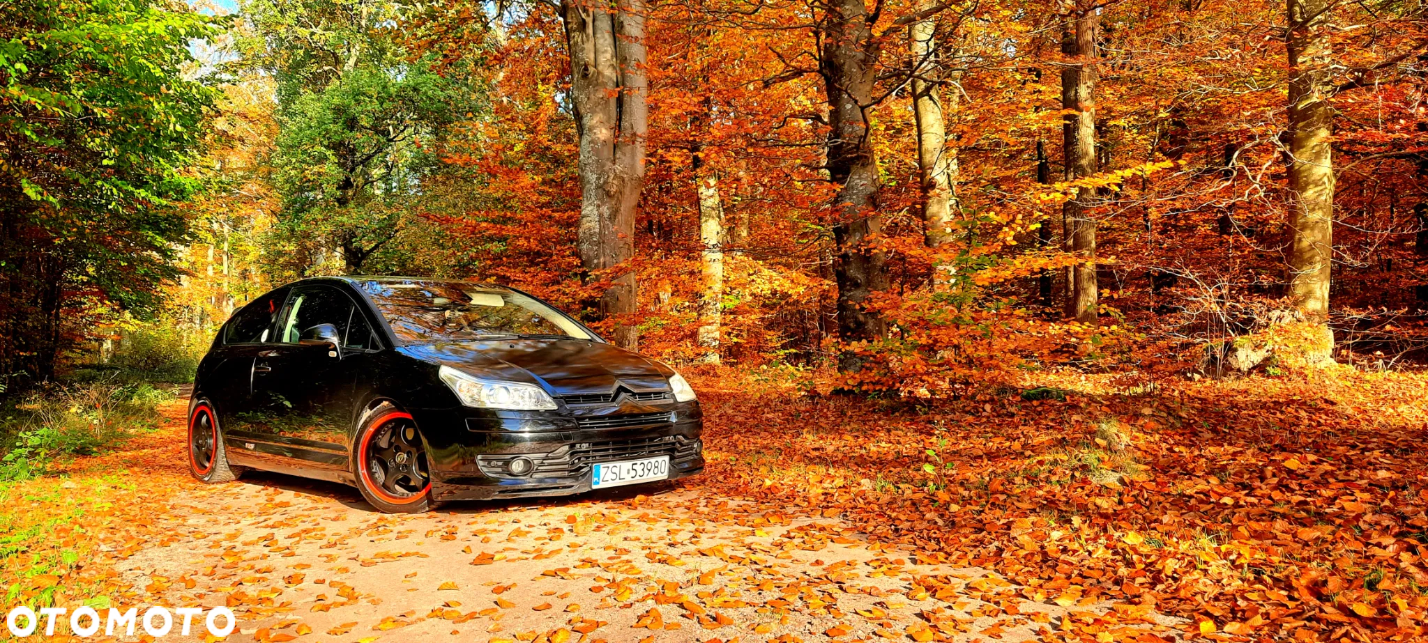 Citroën C4 2.0 HDi VTS - 5