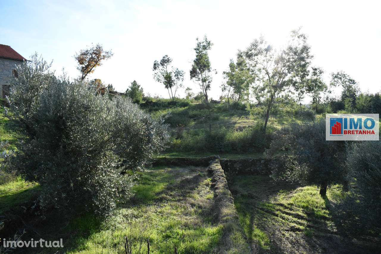 Quinta c/ Casinha - Castanheira (Caria-Peraboa) - Grande imagem: 5/15