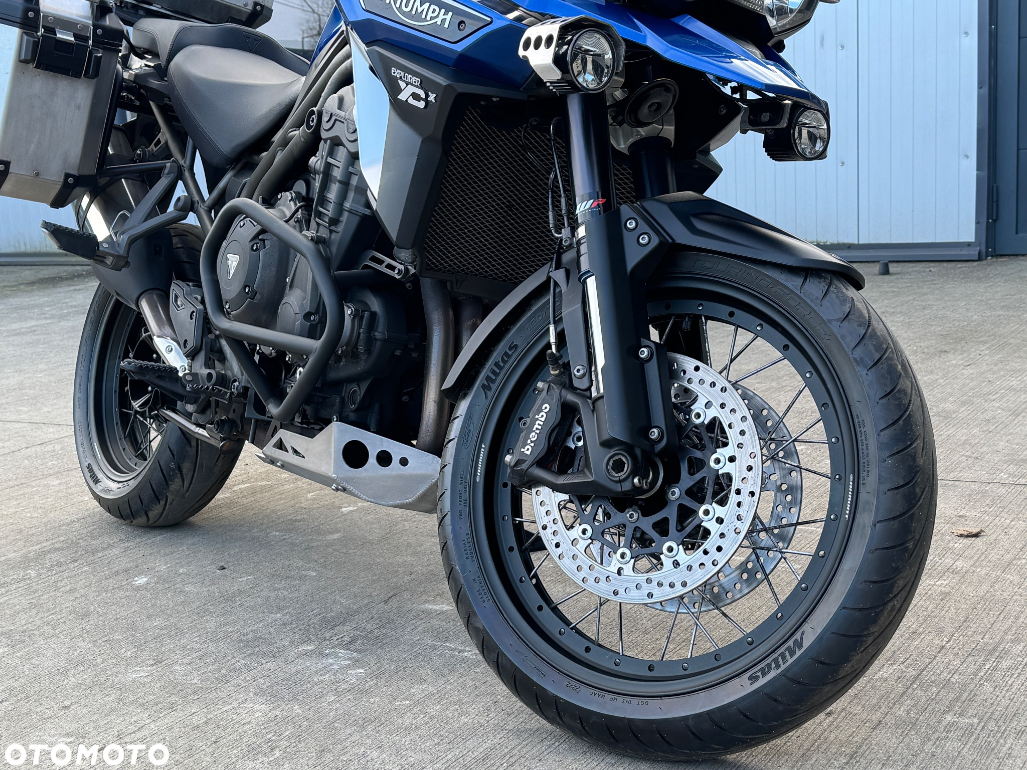 Triumph Tiger - 11