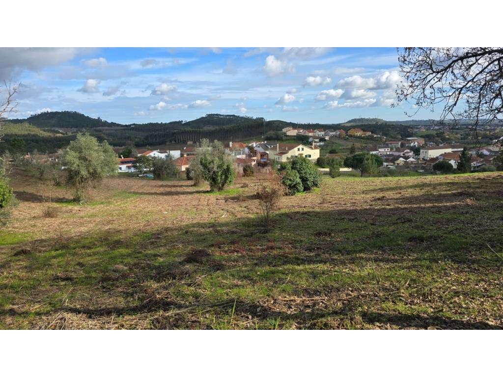 Terreno com viabilidade de construção em Cercal, Cadaval - Grande imagem: 3/19