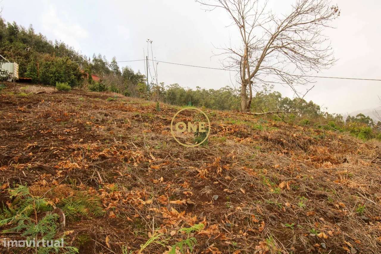 Terreno 600m2 - Grande imagem: 5/7