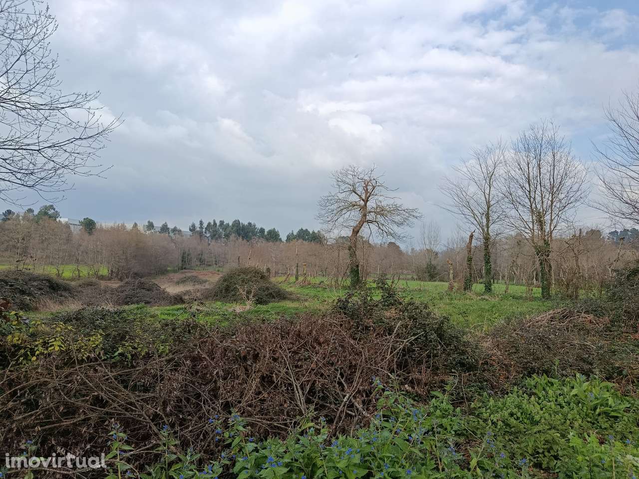 Terreno Rústico de 15.561 m² em São Gens - Grande imagem: 3/21