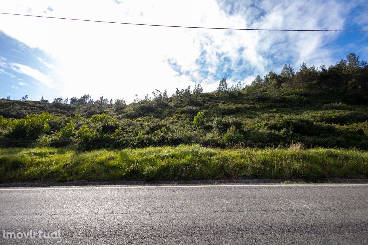 Malveira da Serra - Grande imagem: 2/4