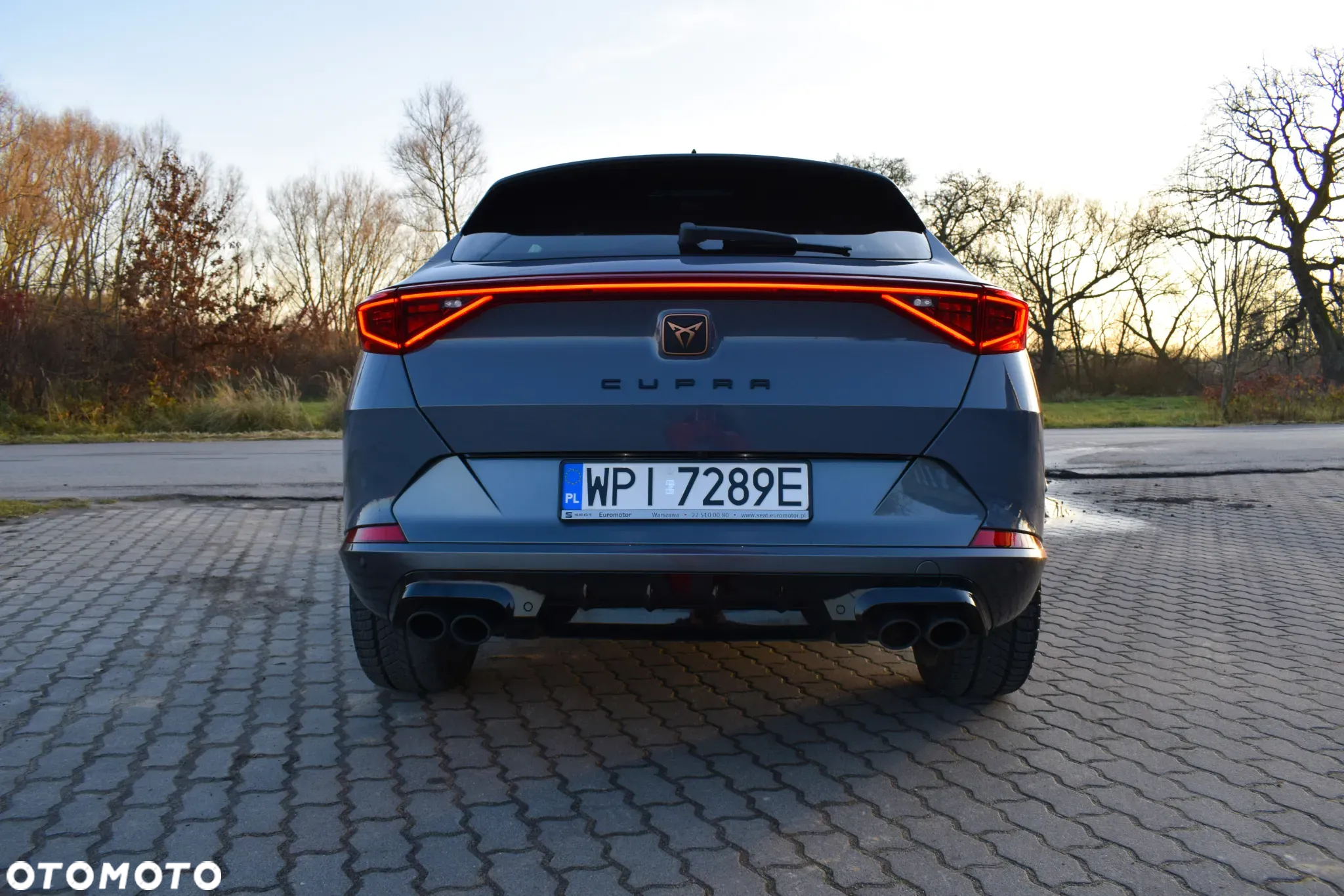 Cupra Formentor - 6