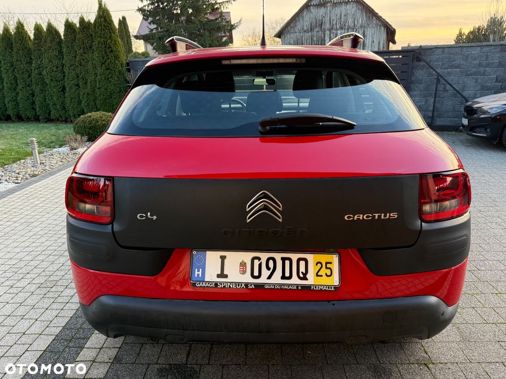 Citroën C4 Cactus PureTech 82 Shine Edition - 12