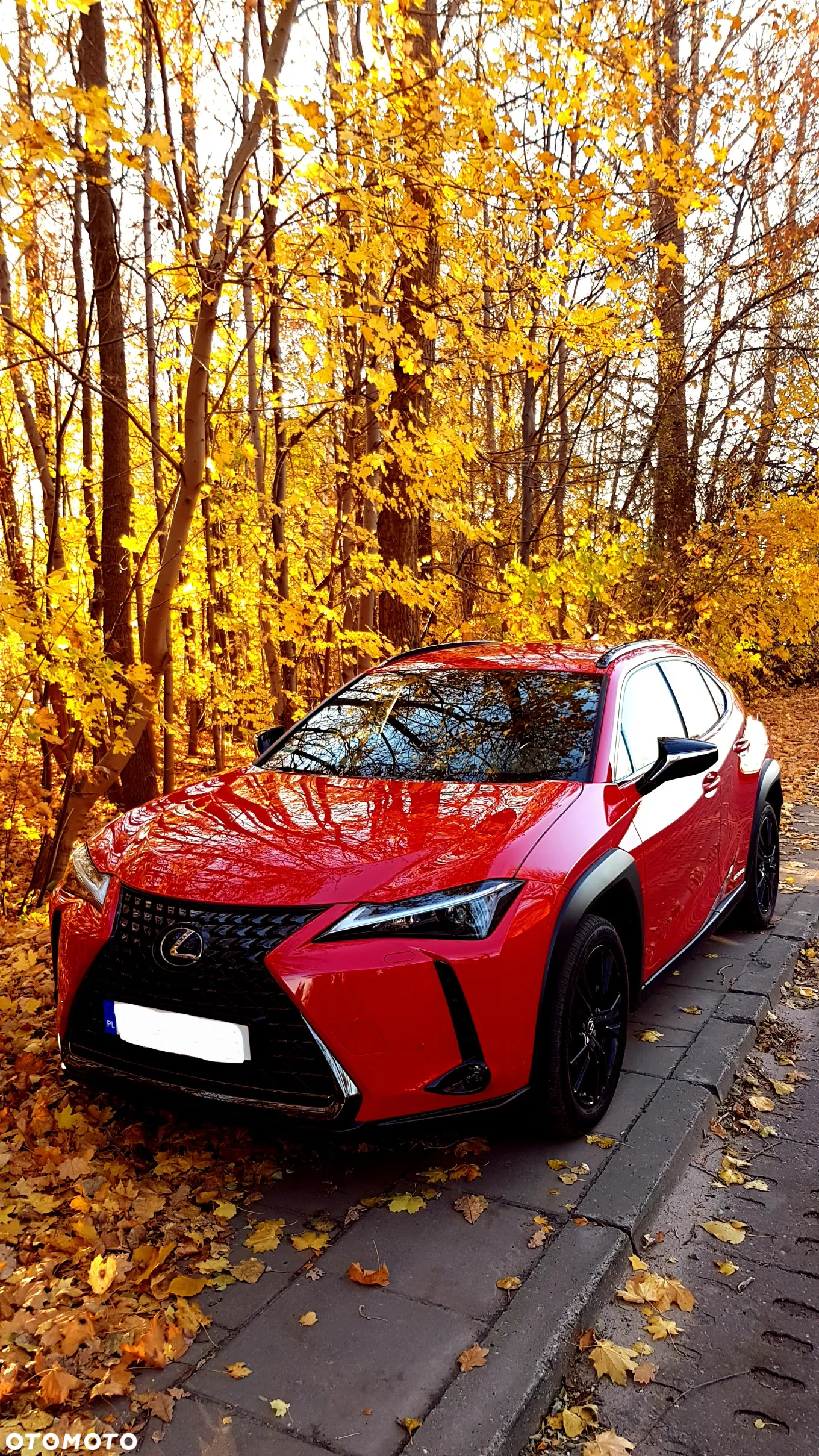 Lexus UX 250h GPF F Impression 2WD - 16
