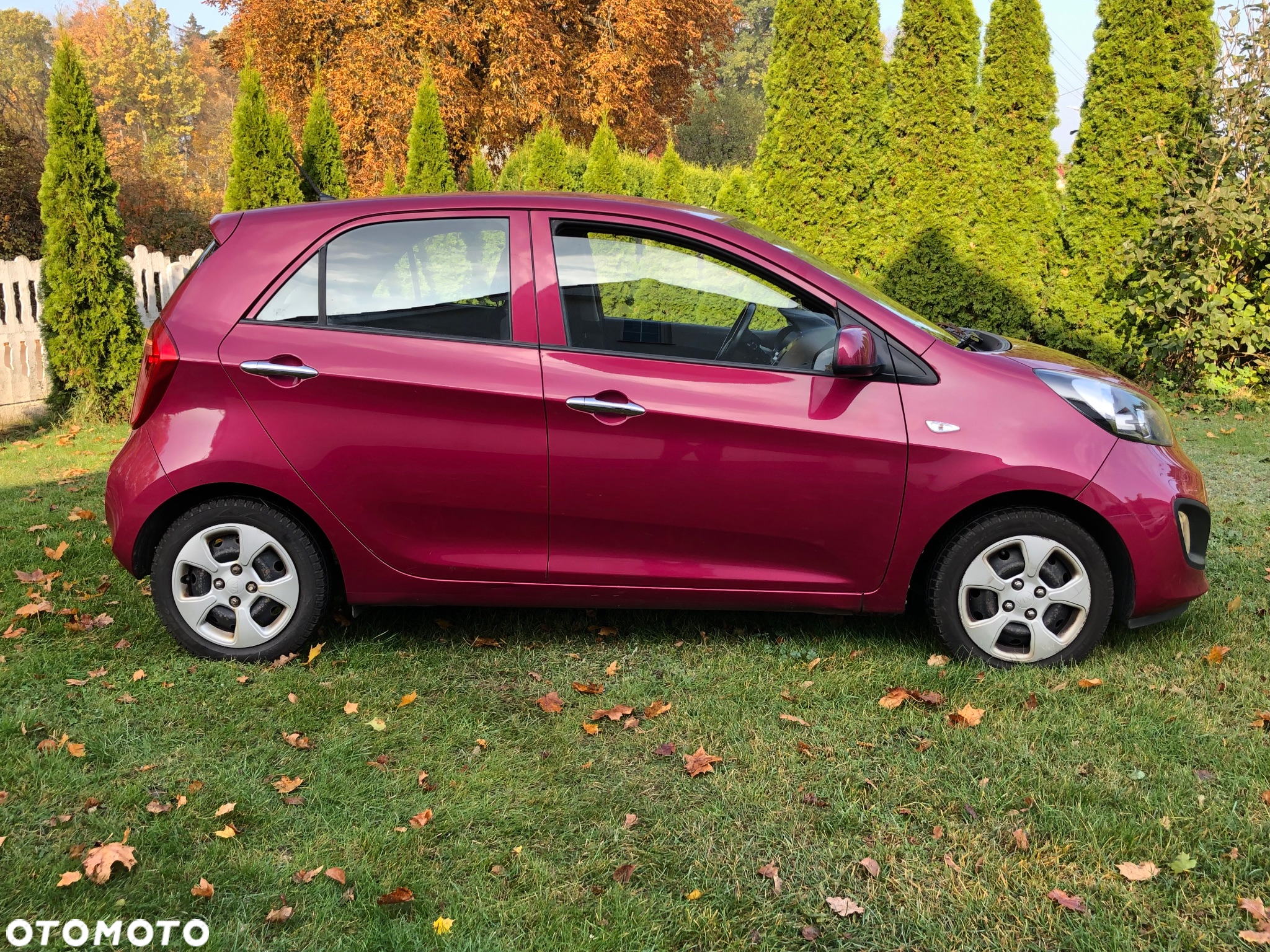 Kia Picanto 1.0 Edition 7 - 6