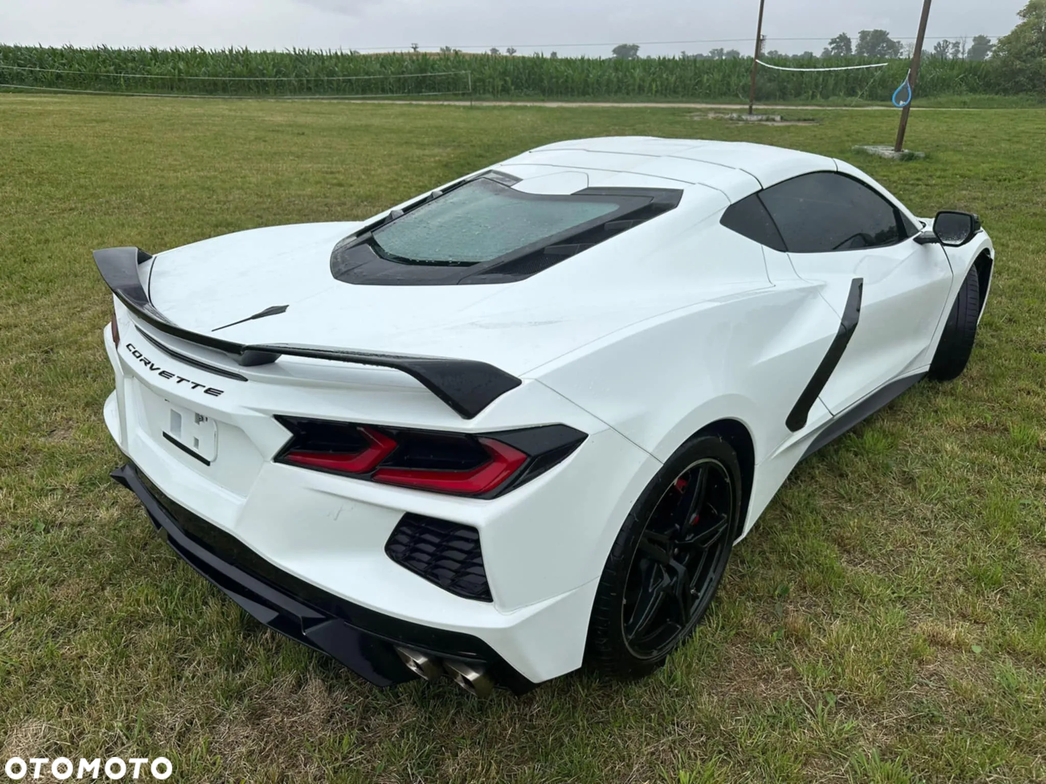 Chevrolet Corvette - 5