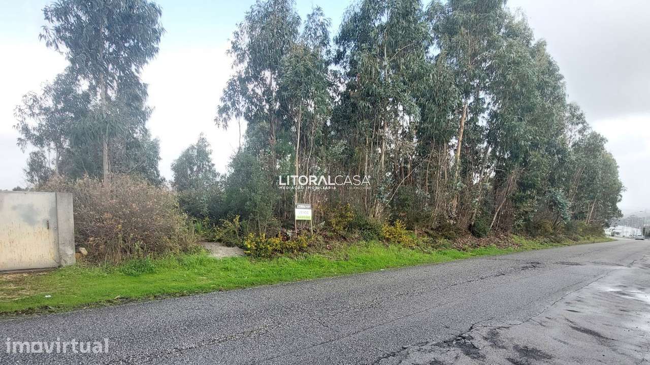 Terreno | Vale da Figueira | Águeda - Grande imagem: 3/7