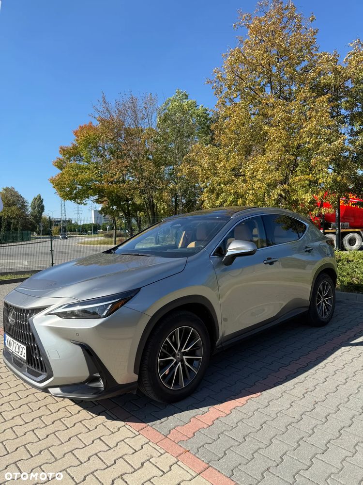 Lexus NX - 6