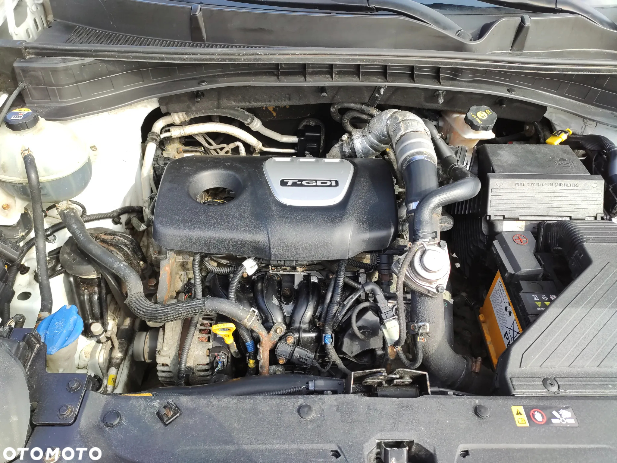 Kia Sportage - 14