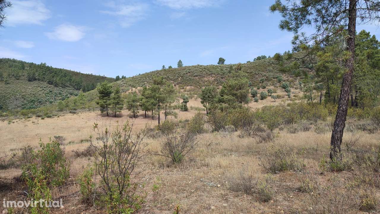 Terreno Rústico com 3,2 ha, Cebolais de Cima - Grande imagem: 2/6