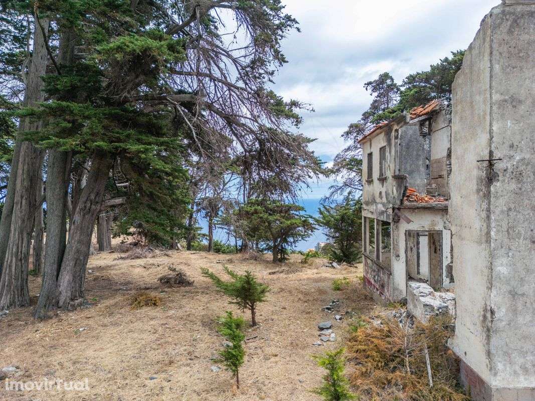 Quinta  para venda - Grande imagem: 3/9