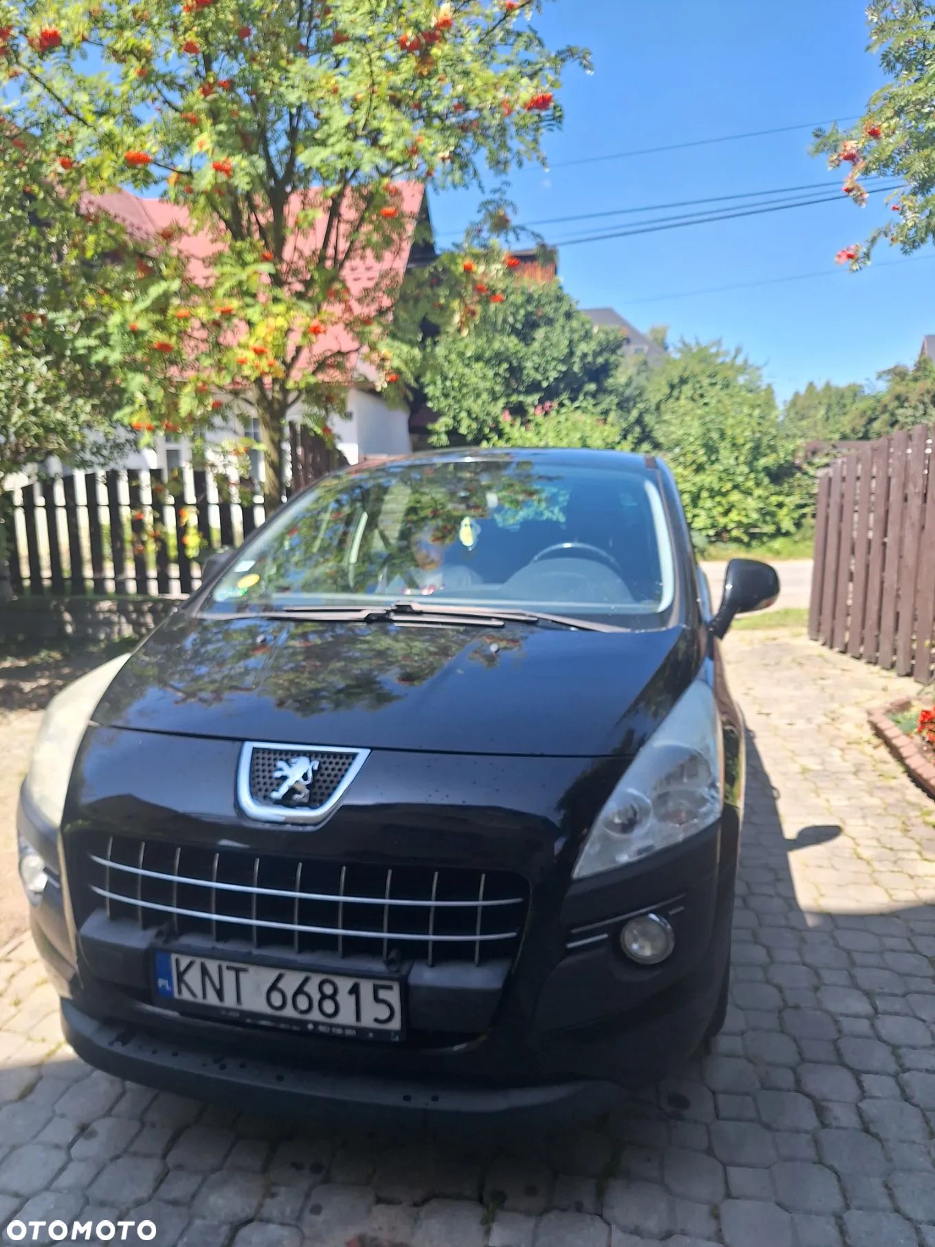 Peugeot 3008 - 1