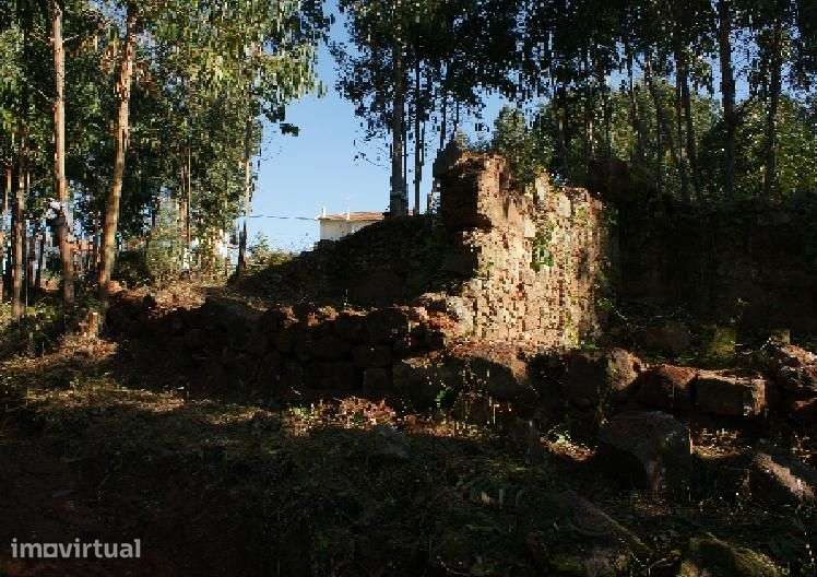 Buarcos - Herdade com vista de mar - Grande imagem: 2/16
