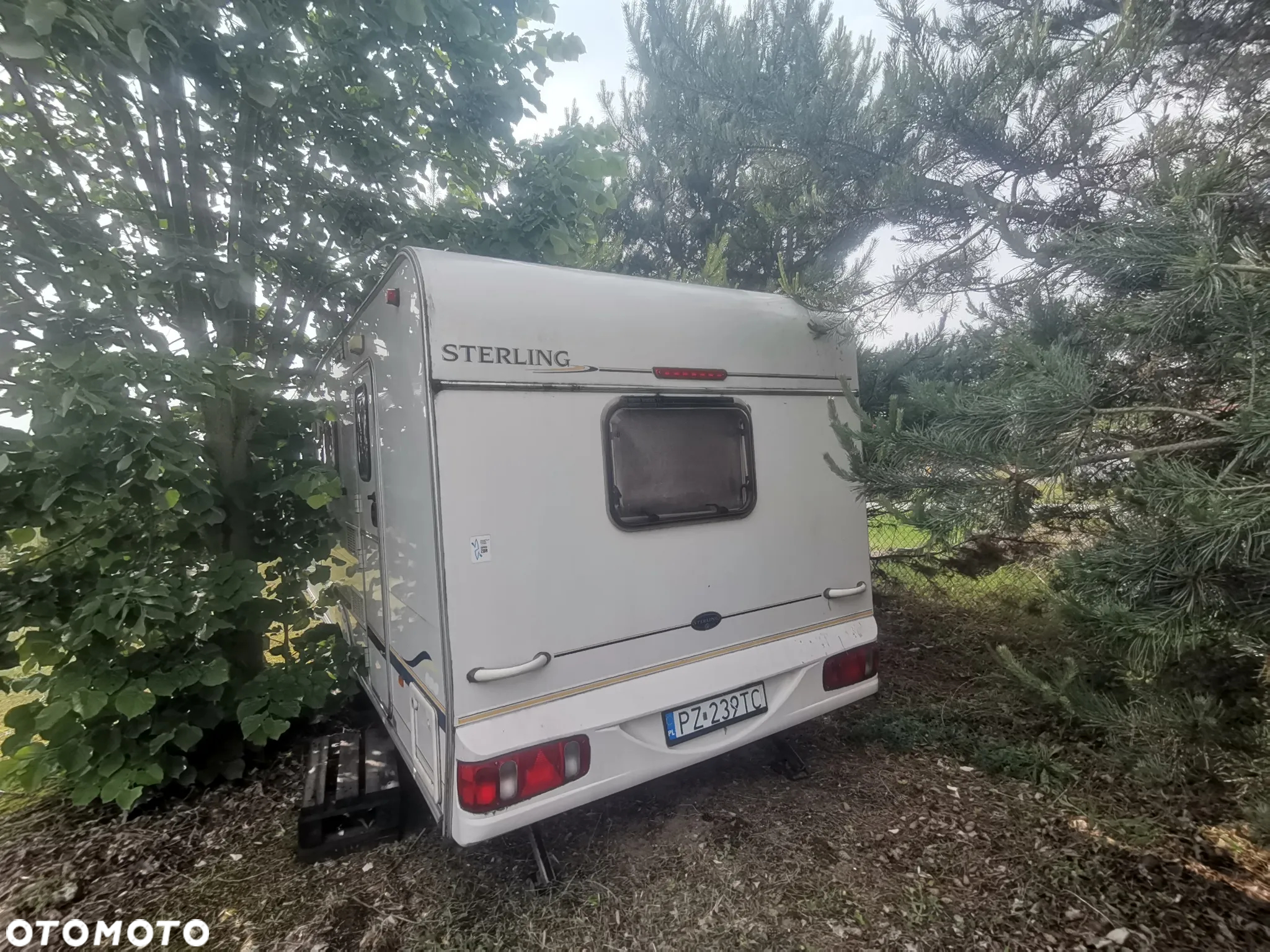 SWIFT Sterling - 10