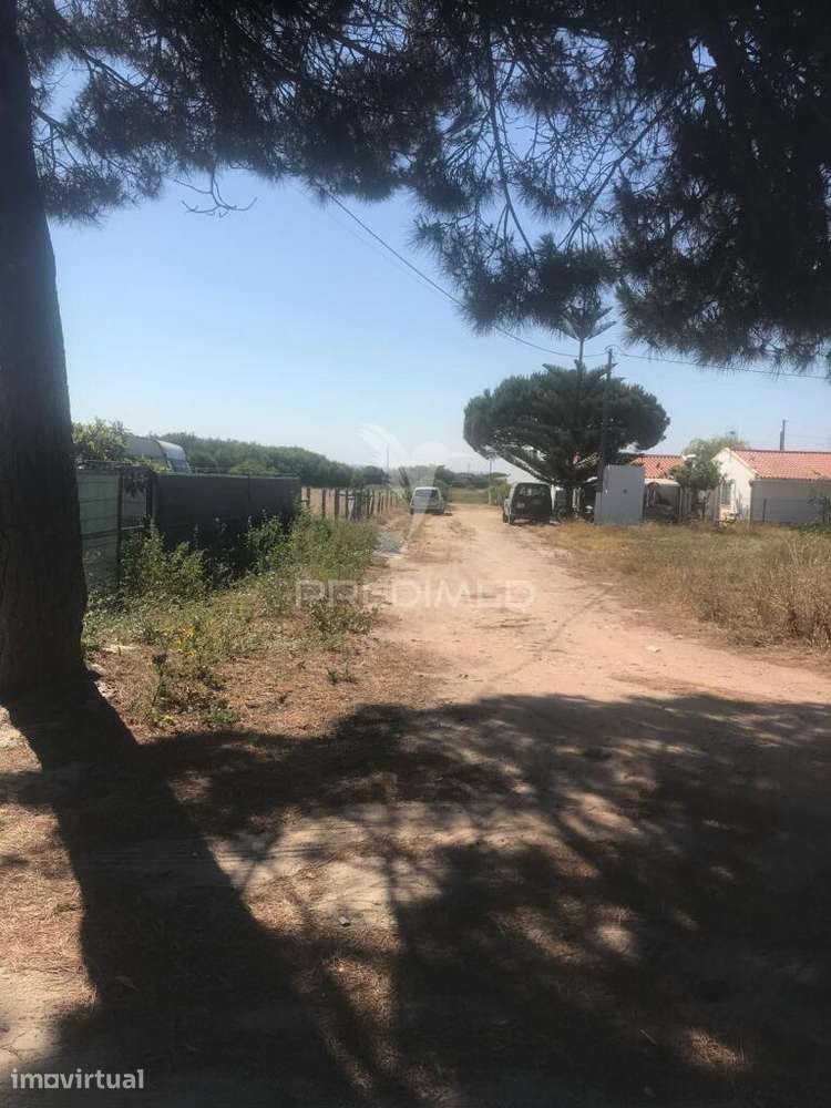 Terreno Rústico de 298m2 - Vila Nova de Mil Fontes - Grande imagem: 4/4