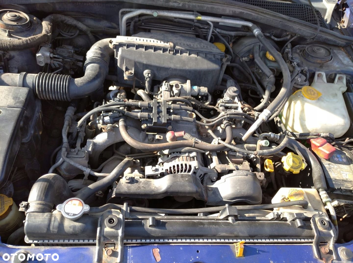 SUBARU FORESTER 2 II SG 02-06 BLENDA LISTWA KLAPY BAGAŻNIKA TYŁ TYLNA - 12