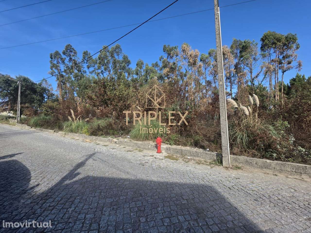 Terreno com viabilidade de construção - Grande imagem: 5/14