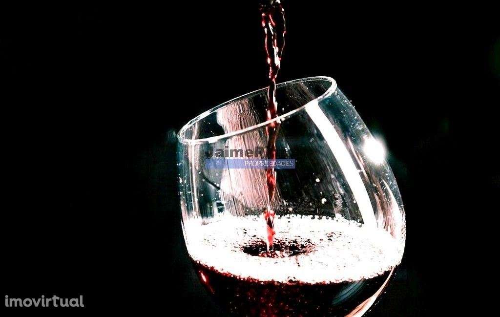 RESTAURANTE de excelência e EDIFÍCIO. Portugal, Bragança. - Grande imagem: 4/9