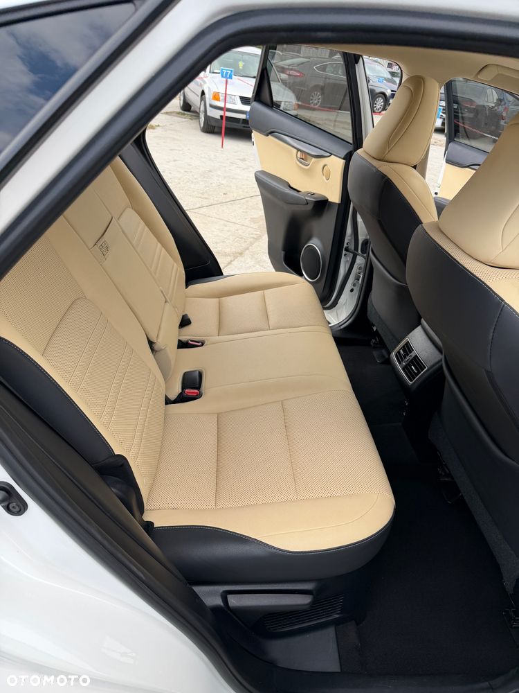 Lexus NX 300 Business Edition AWD - 18