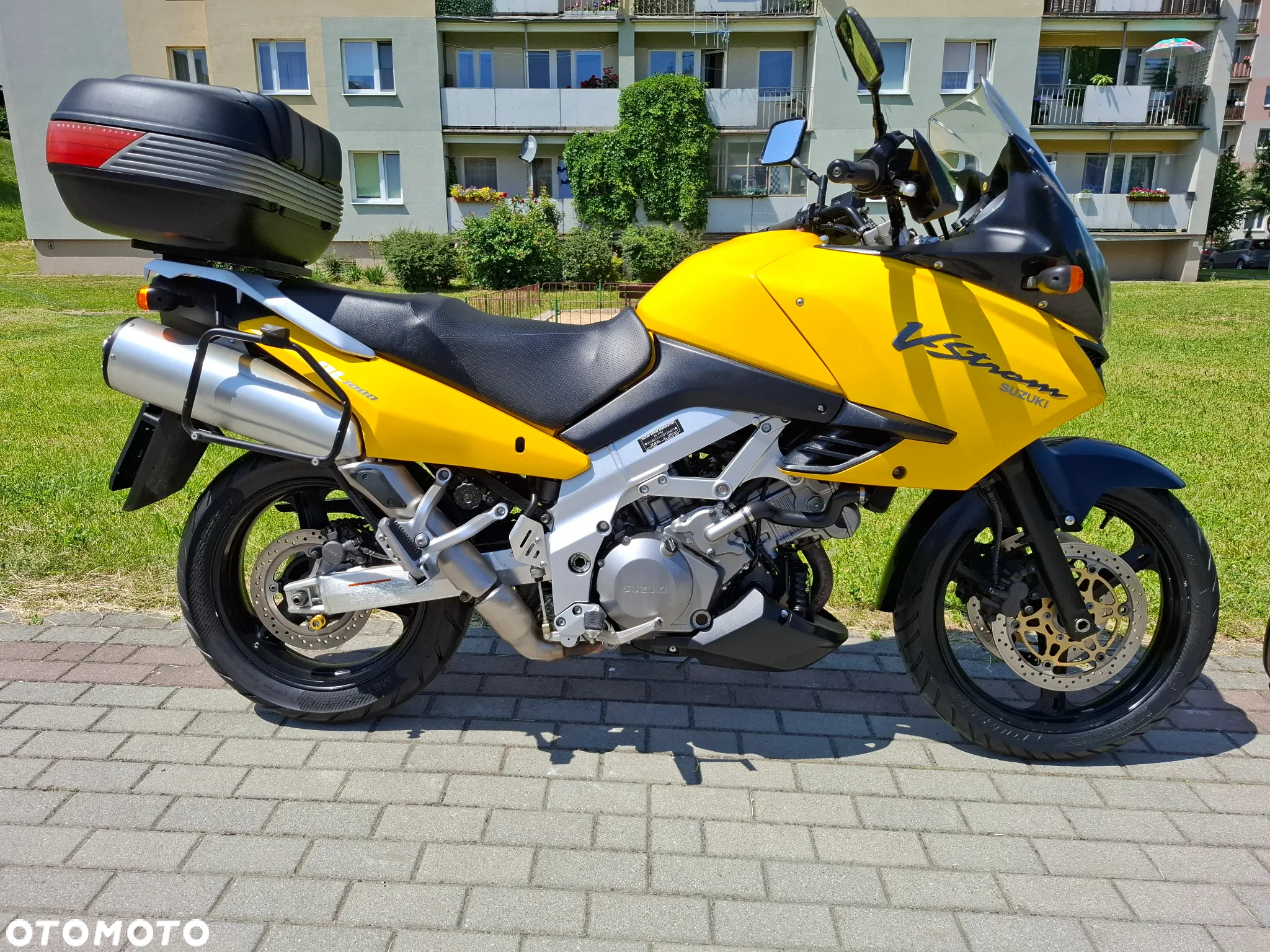 Suzuki DL - 10