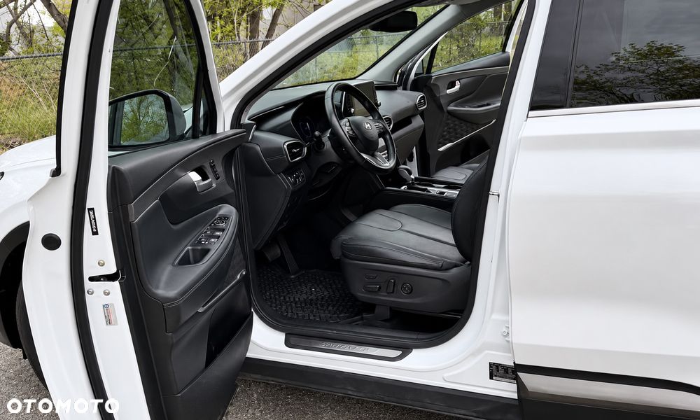 Hyundai Santa Fe 2.0 CRDi Platinum 4WD - 6