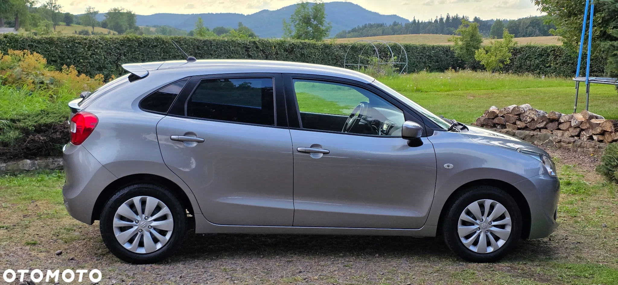 Suzuki Baleno 1.2 Premium Plus - 40