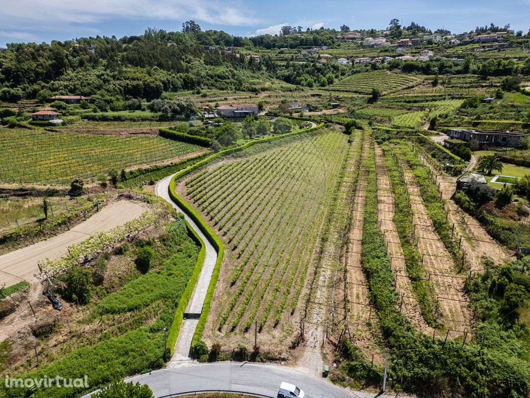 Quinta T2 para venda - Grande imagem: 5/24