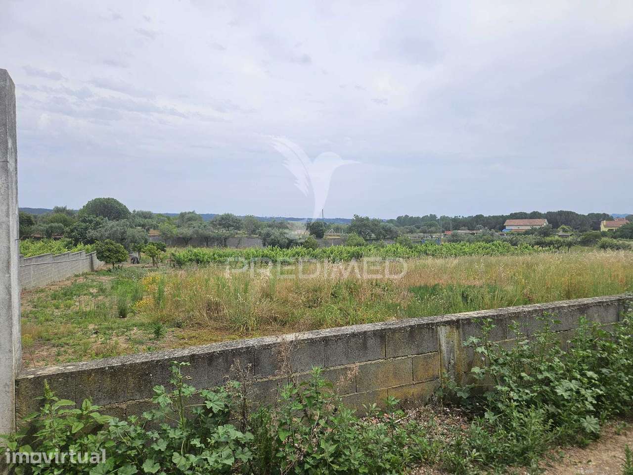 Terreno na entrada de Tomar com parcela urbana 1200m2 - Grande imagem: 3/23