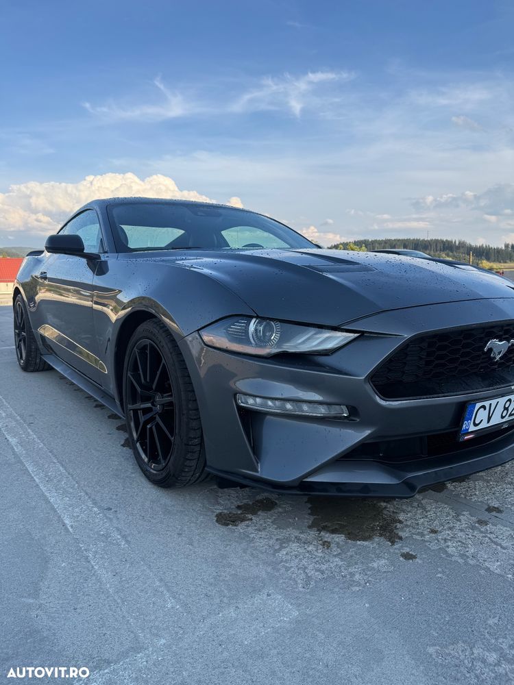Ford Mustang 2022 photo 5