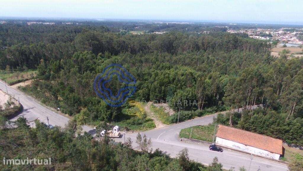 Terreno Industrial em São Vicente Pereira com 24 400metros - Grande imagem: 2/10