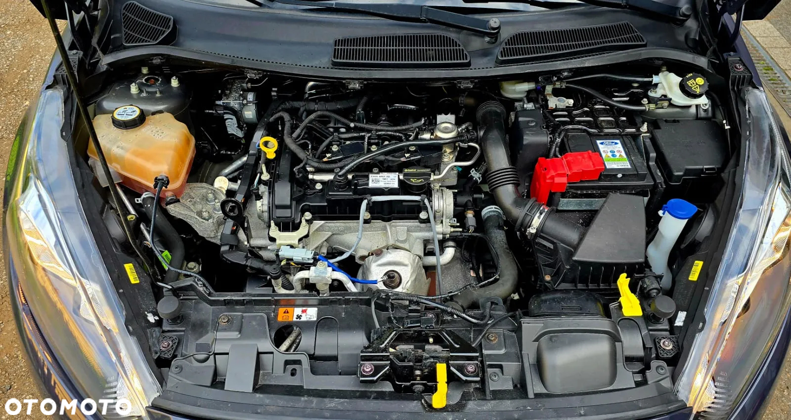 Ford Fiesta 1.0 Champions Edition - 22