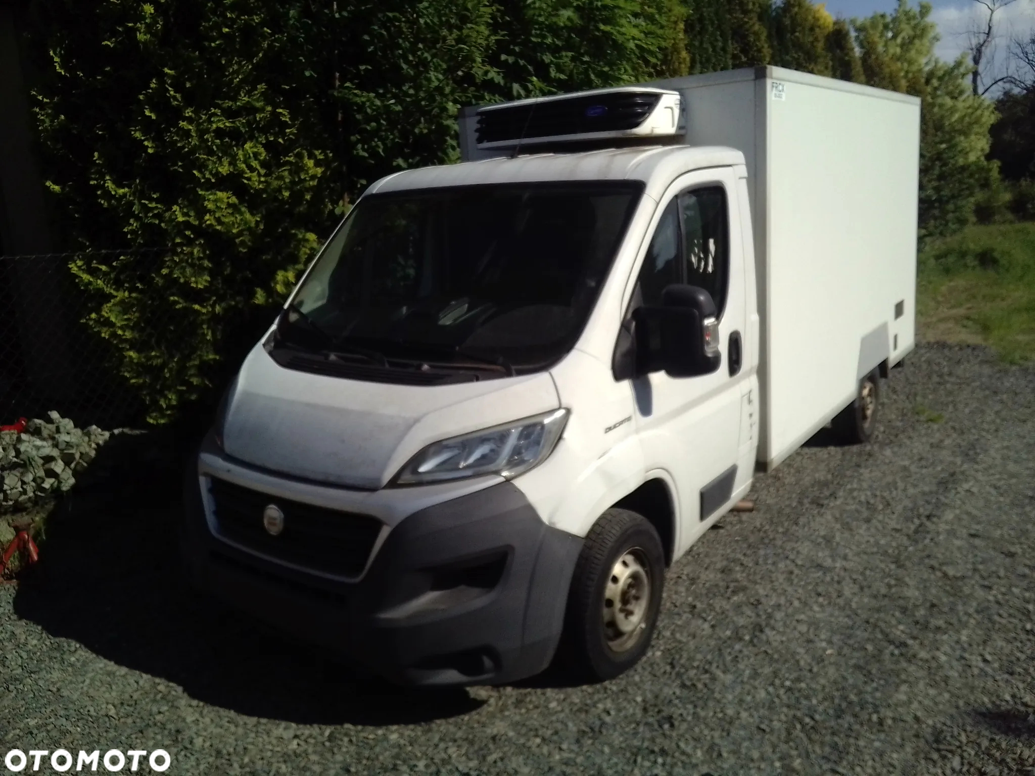 Fiat Ducato - 18