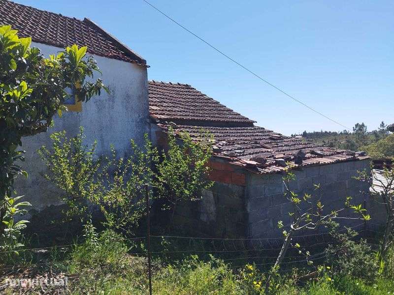 Moradia, casa de campo - Grande imagem: 4/7