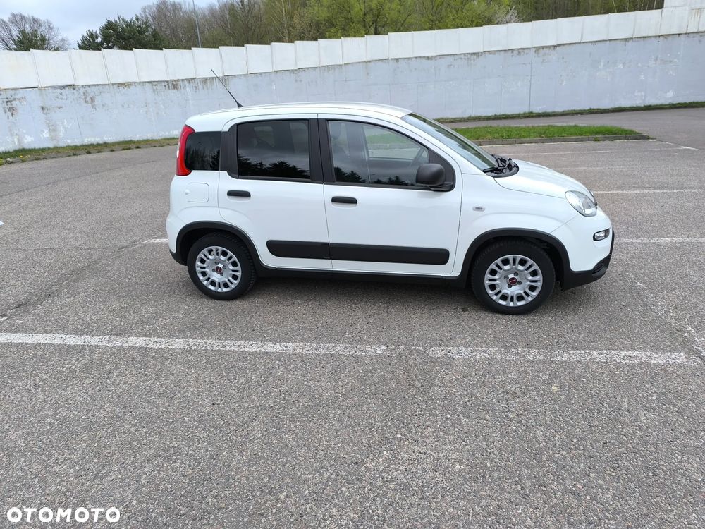 Fiat Panda - 3