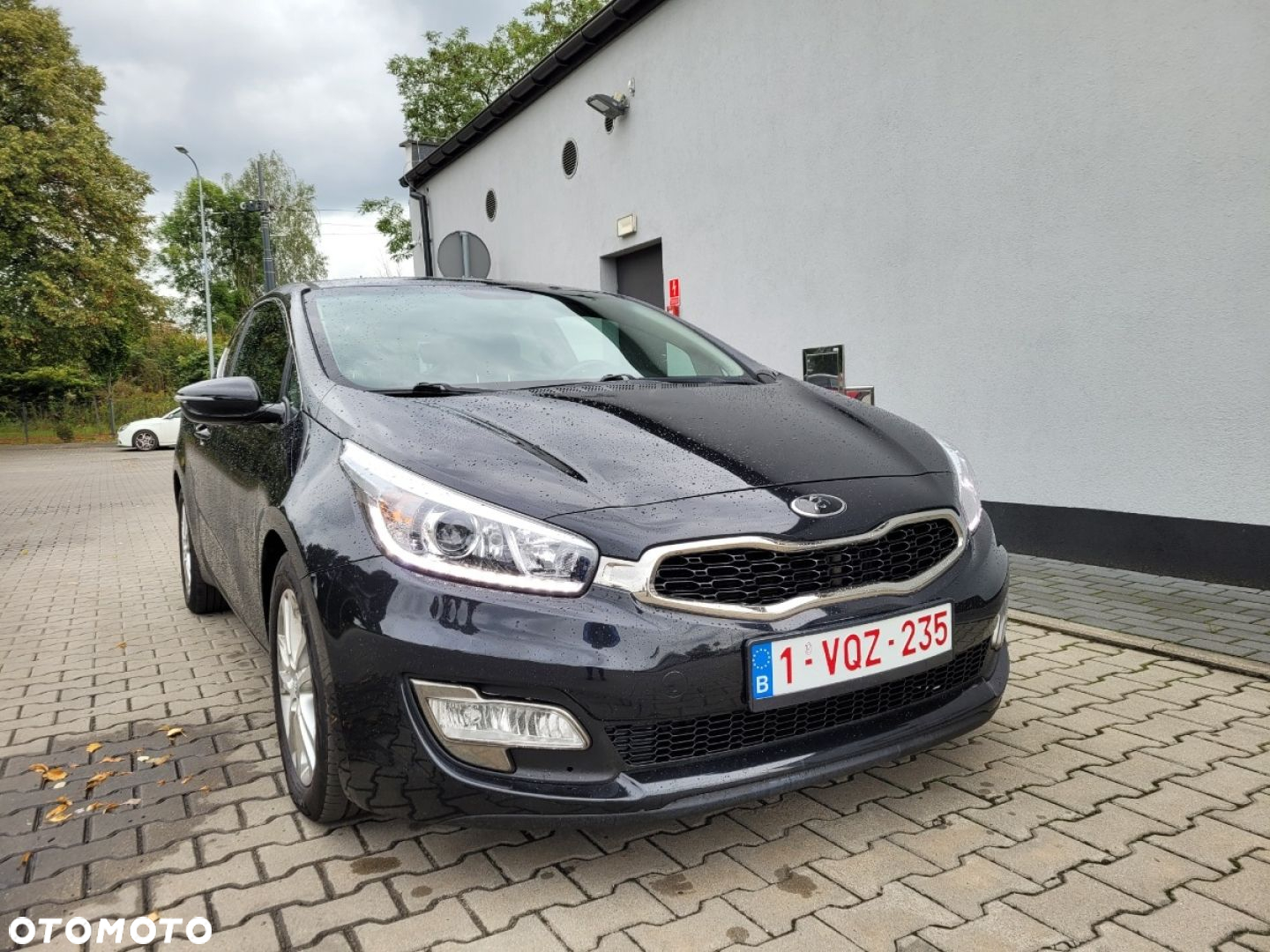 Kia ProCeed - 5