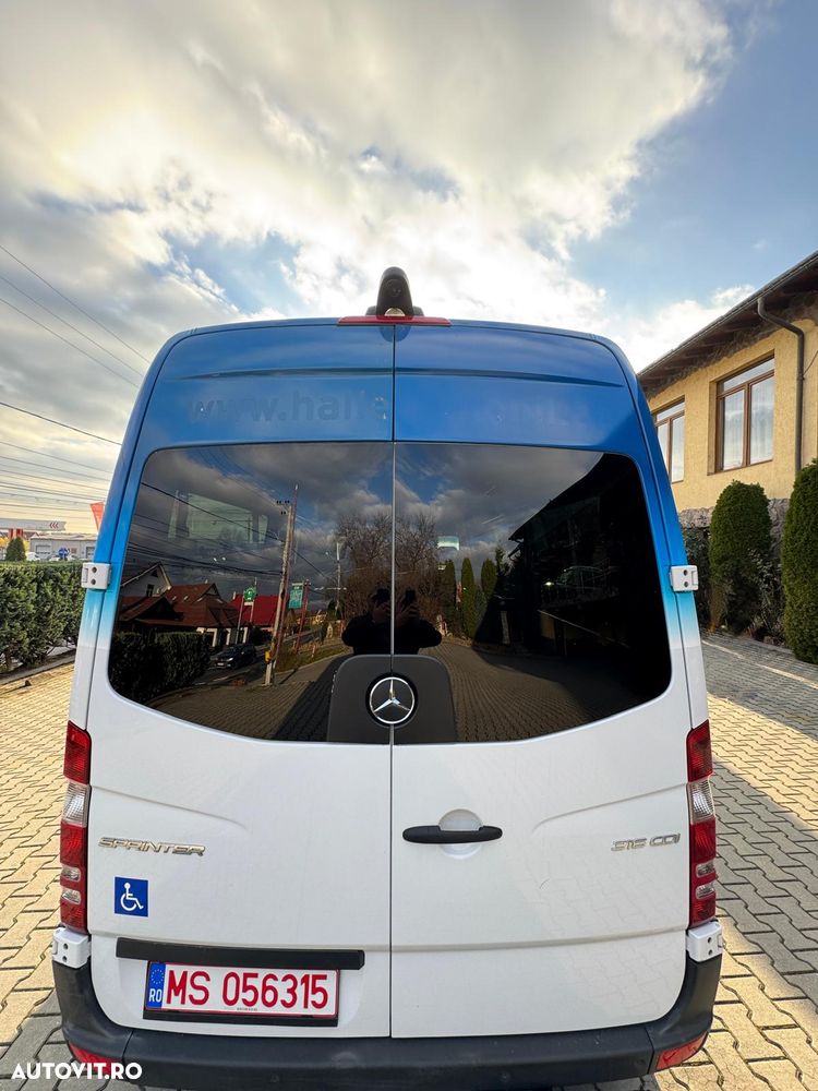 Mercedes-Benz Sprinter 316 CDI (BlueTec) 906.233 BlueEFFICIENCY - 3