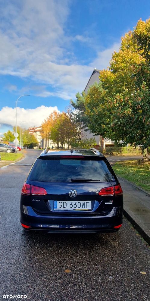 Volkswagen Golf - 8