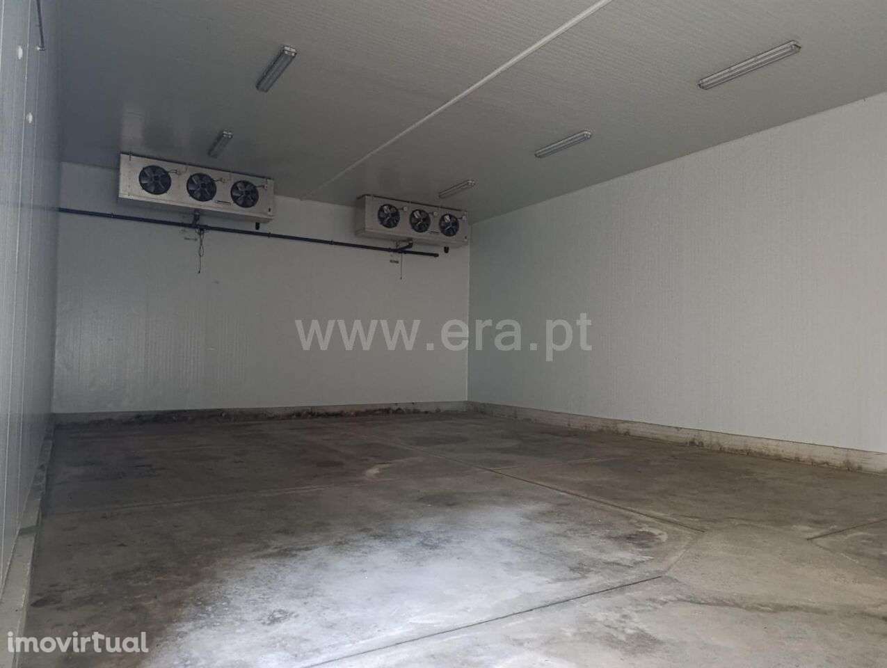 Quinta T1 / Fundão, Donas - Grande imagem: 5/11