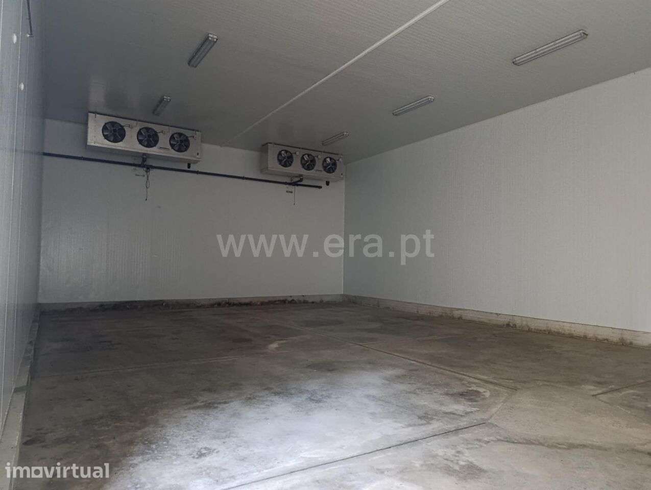 Quinta T1 / Fundão, Donas - Grande imagem: 5/11