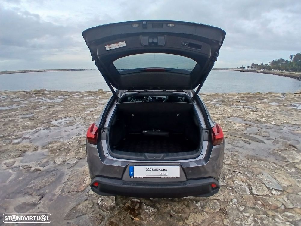 Lexus UX 300e Luxury - 21