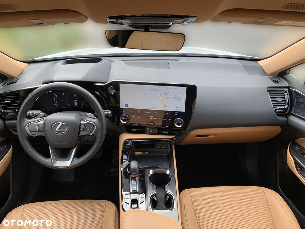 Lexus NX - 18