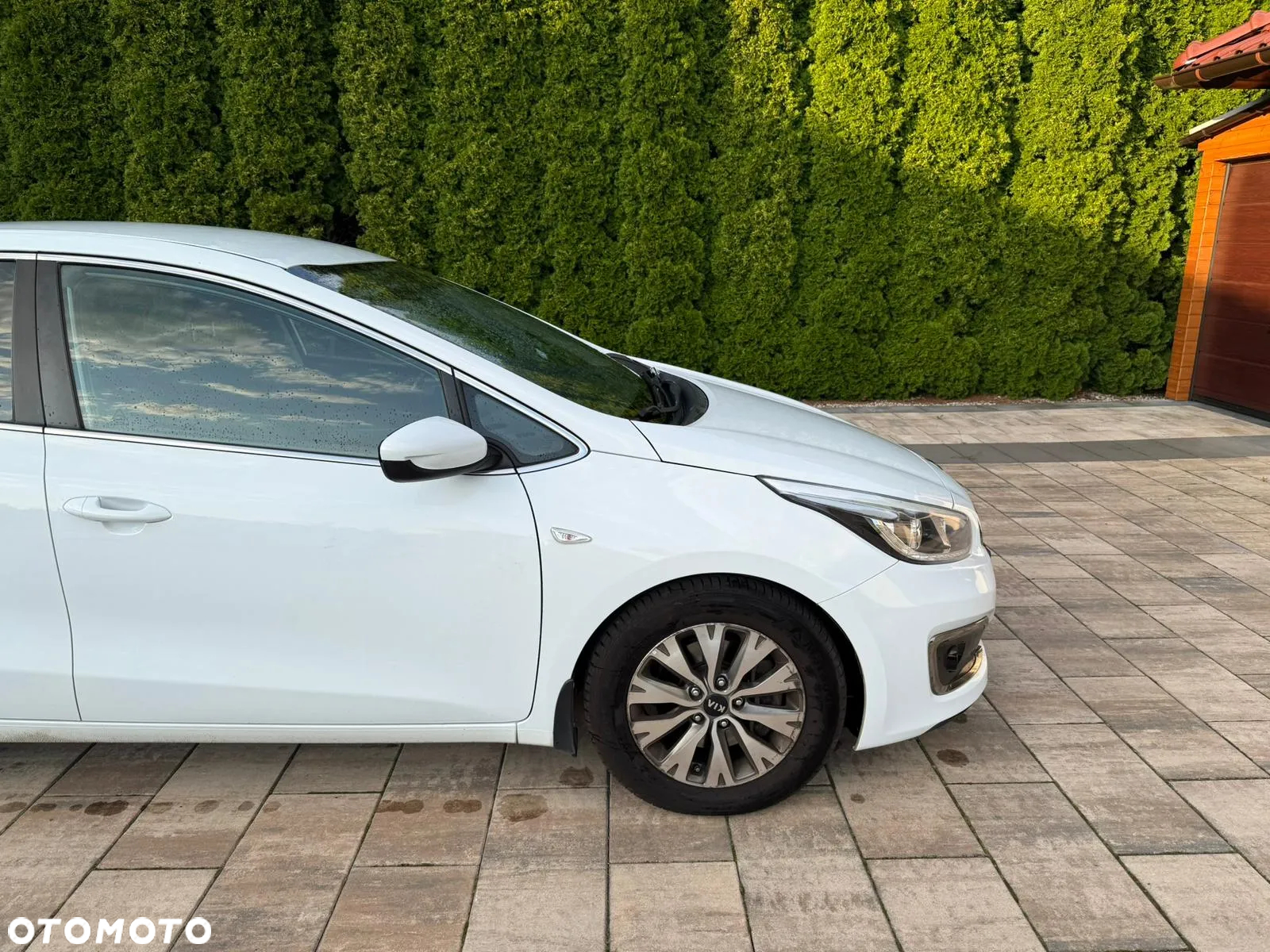 Kia Ceed Cee'd 1.6 CRDi M - 2