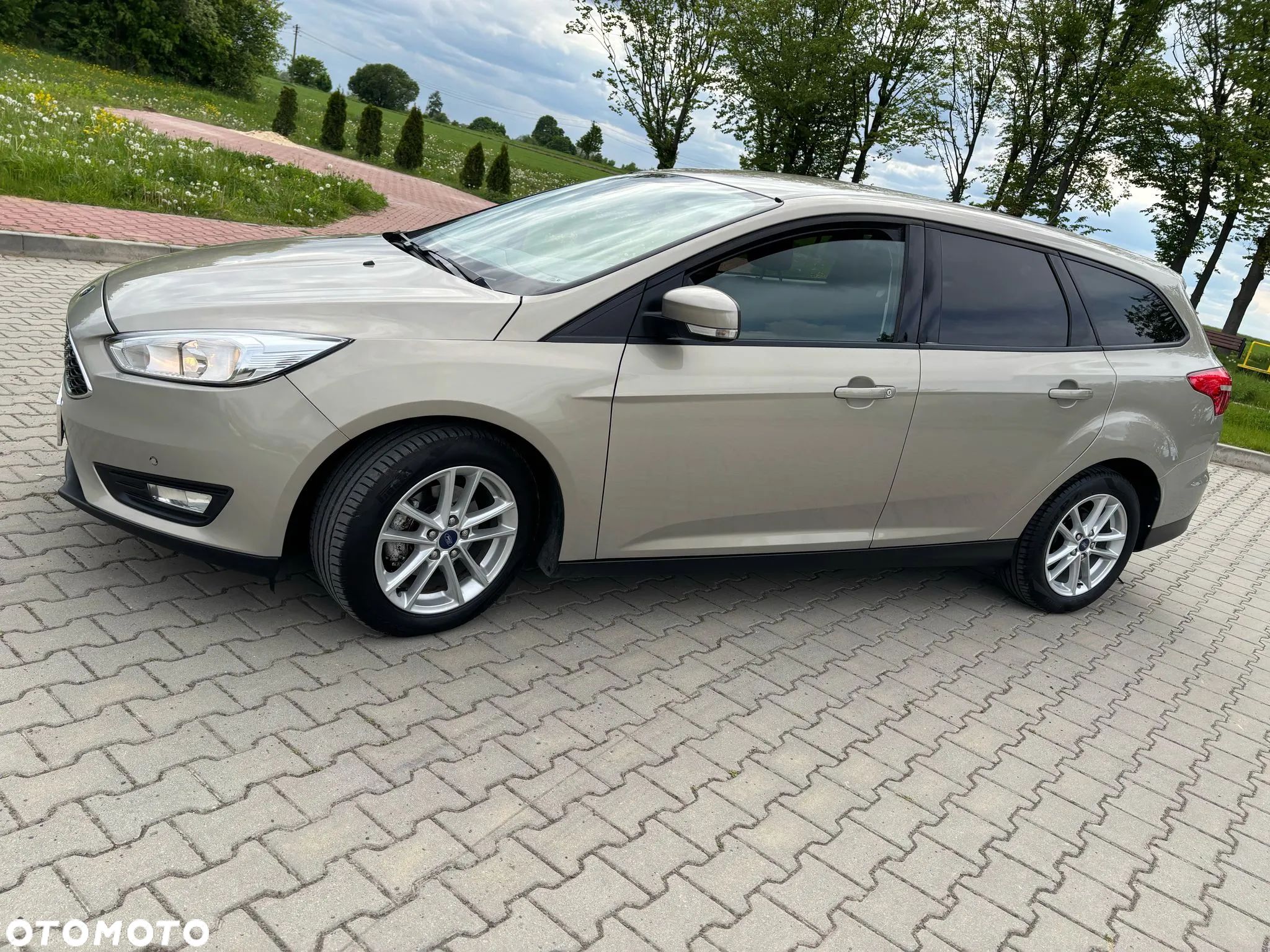 Ford Focus 1.5 EcoBlue Trend Edition - 1
