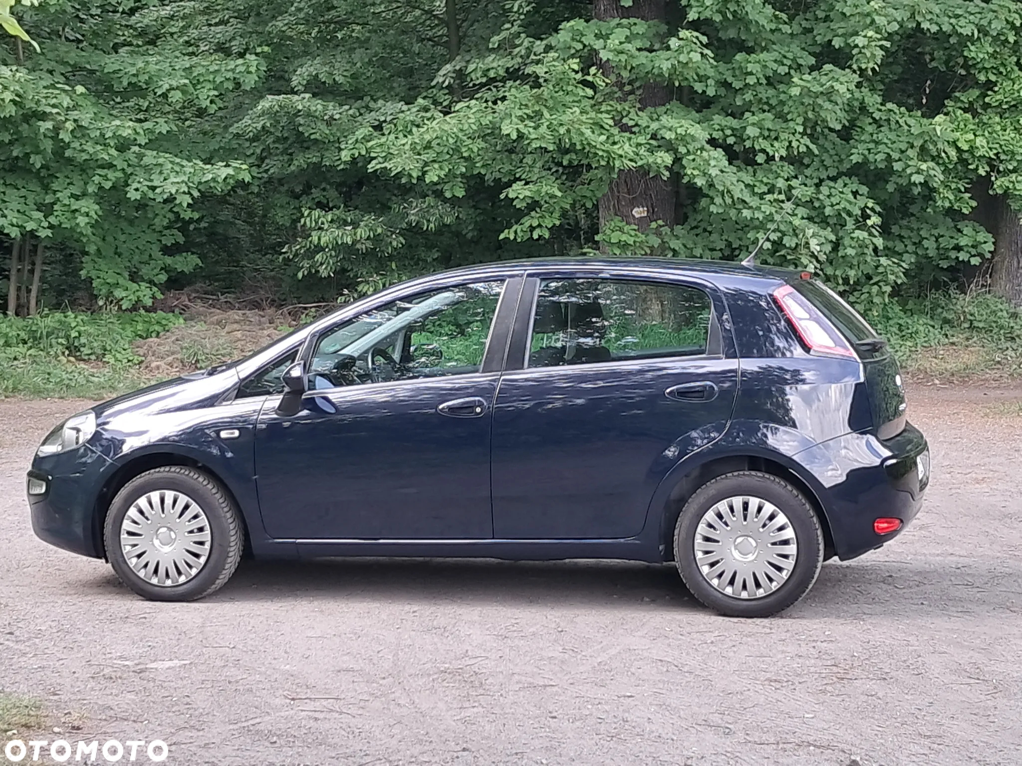 Fiat Punto Evo - 4