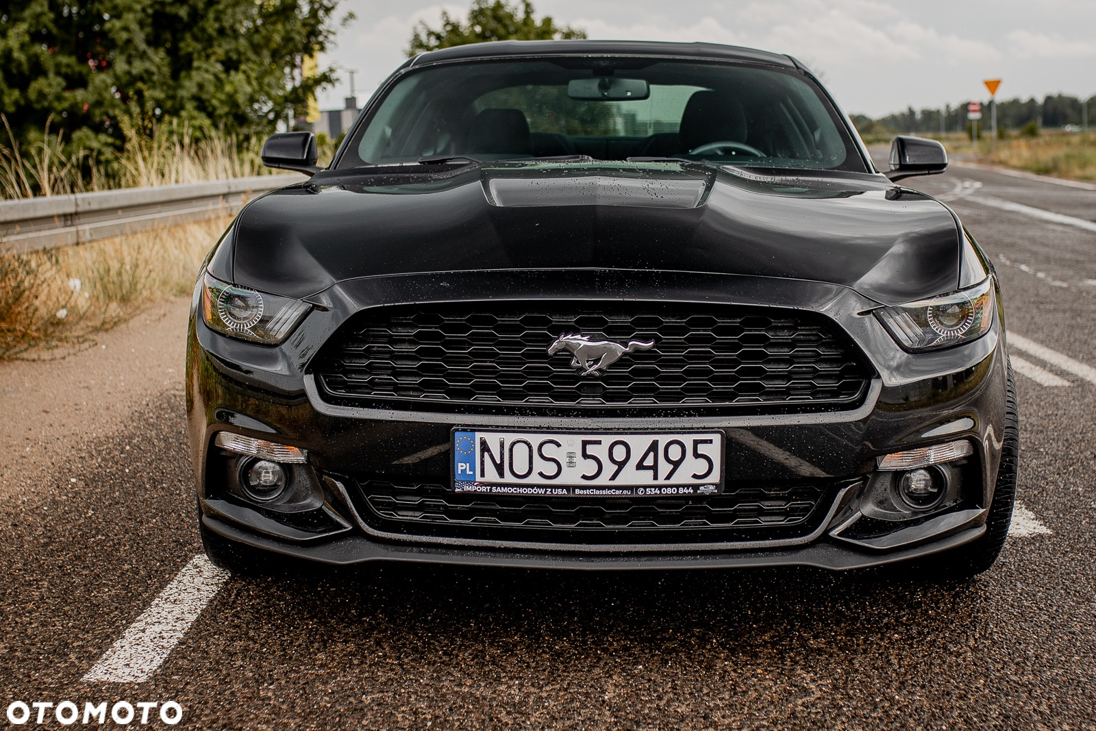 Ford Mustang 2.3 EcoBoost - 2