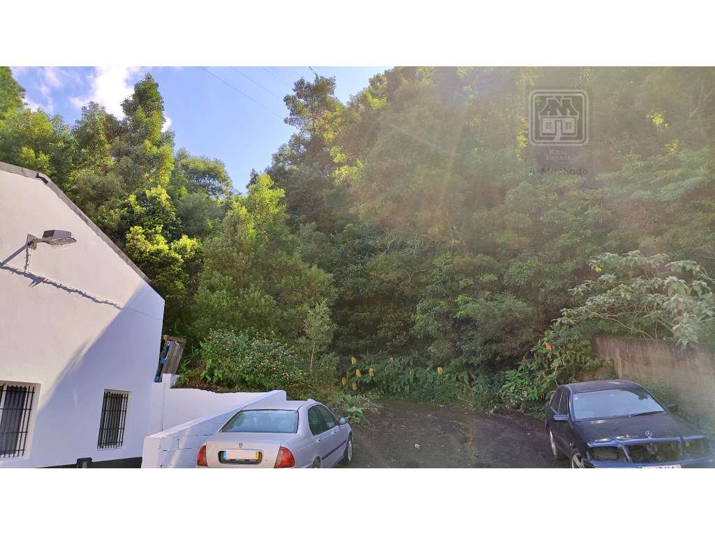 Amplo TERRENO em zona Industrial com potencial construtivo - Pico d... - Grande imagem: 5/18