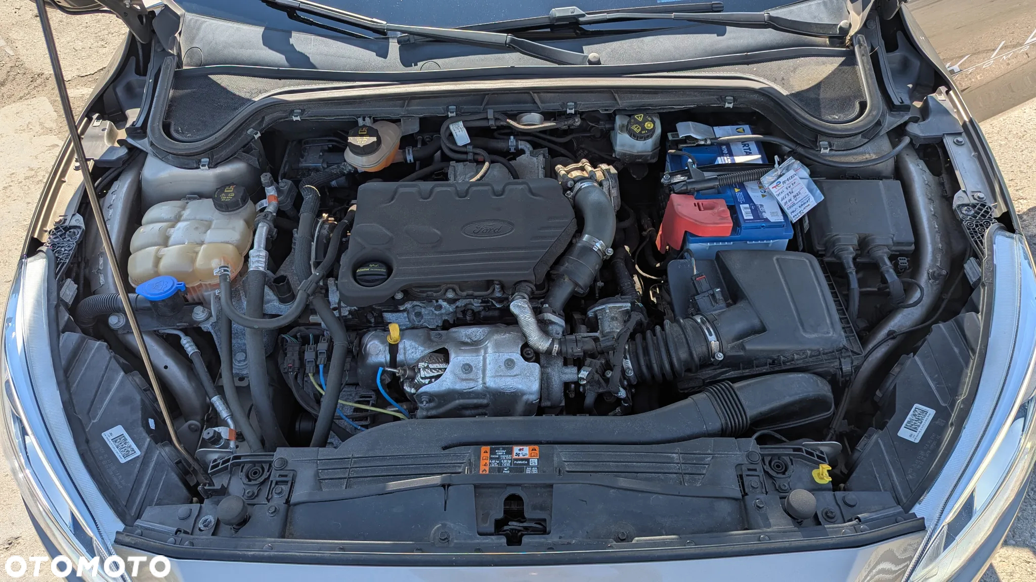 Ford Focus - 14